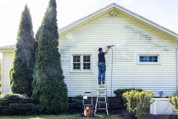 Trusted Lemont, IL Pressure Washing Experts